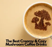 The Best Creamy & Cozy Mushroom Coffee Drinks