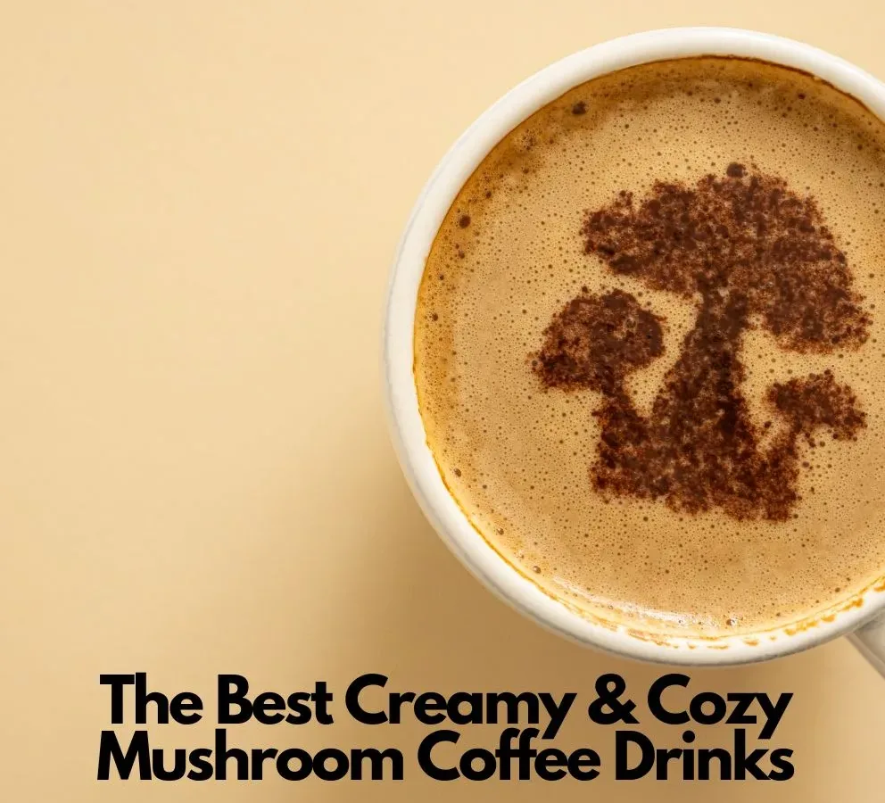 The Best Creamy & Cozy Mushroom Coffee Drinks
