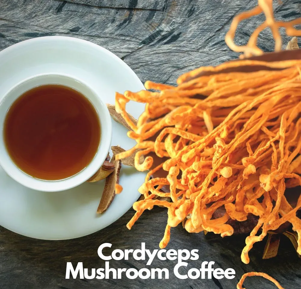 Cordyceps Mushroom Coffee