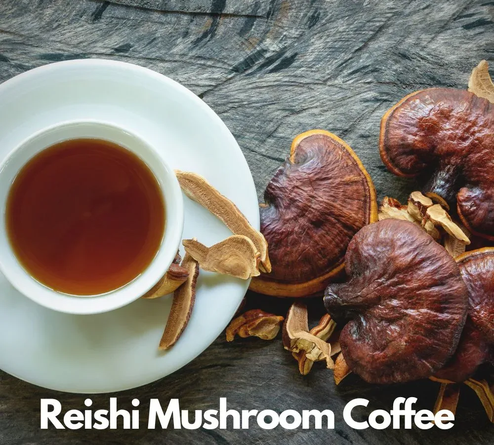 Reishi Mushroom Coffee