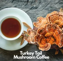Turkey Tail Mushroom Coffee