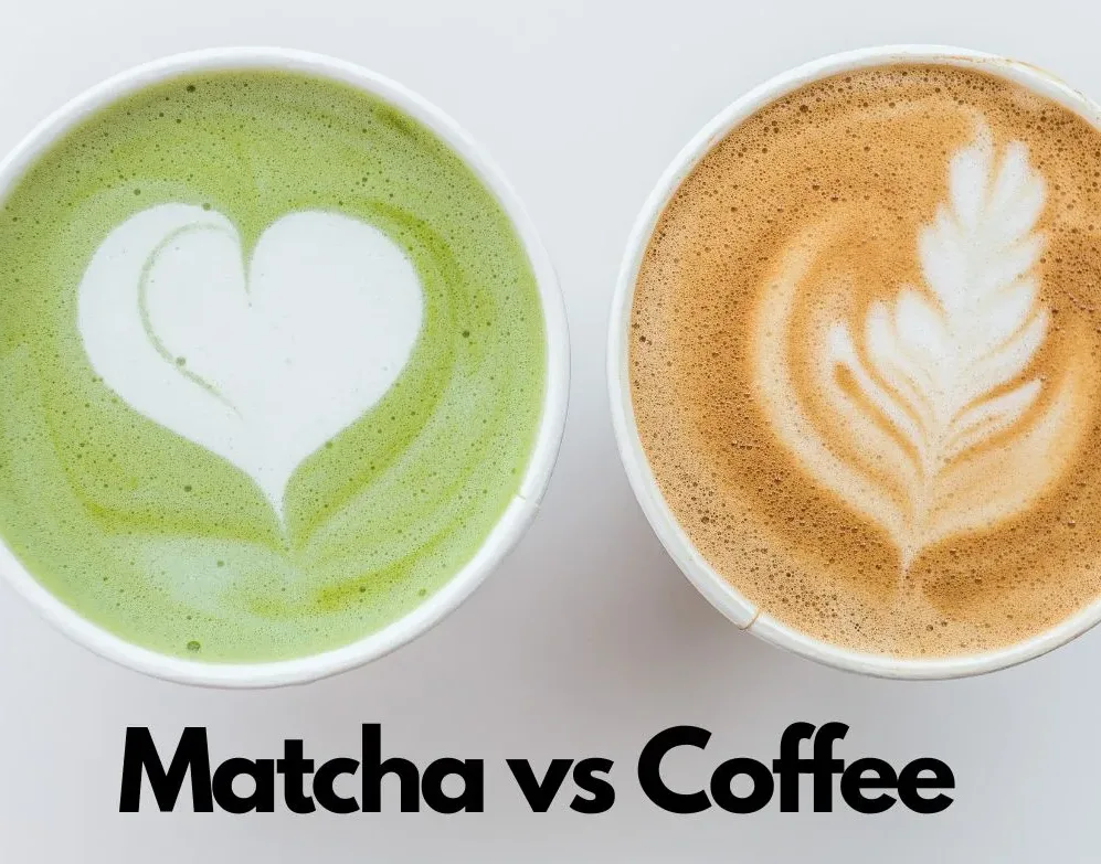 Mushroom Matcha vs Regular Coffee