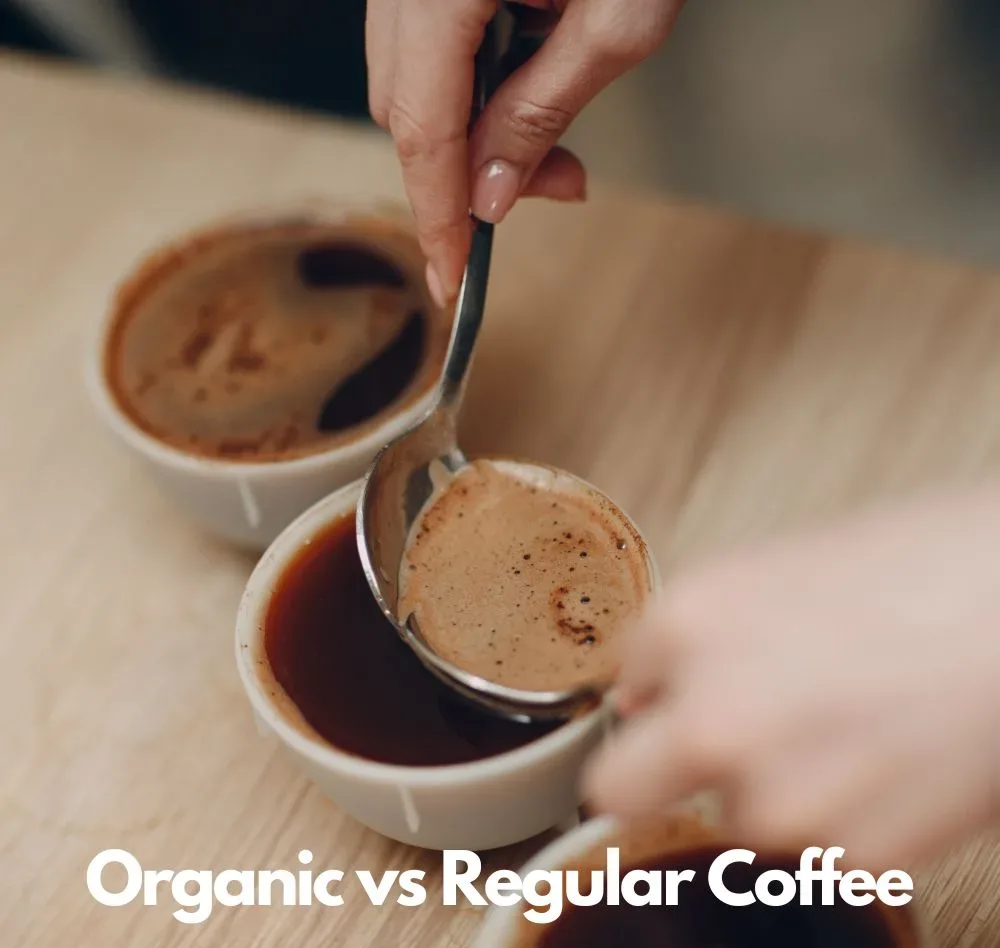 Mushroom Coffee vs Regular Coffee