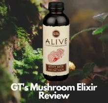 GT's Alive Ancient Mushroom Elixir Review